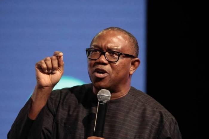 I’ll return Nigeria to rightful owners, says Peter Obi