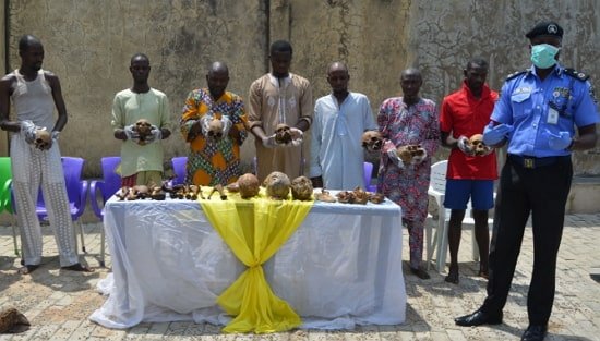 Kwara: Police arrest 41 year-old man with human skull, animal parts