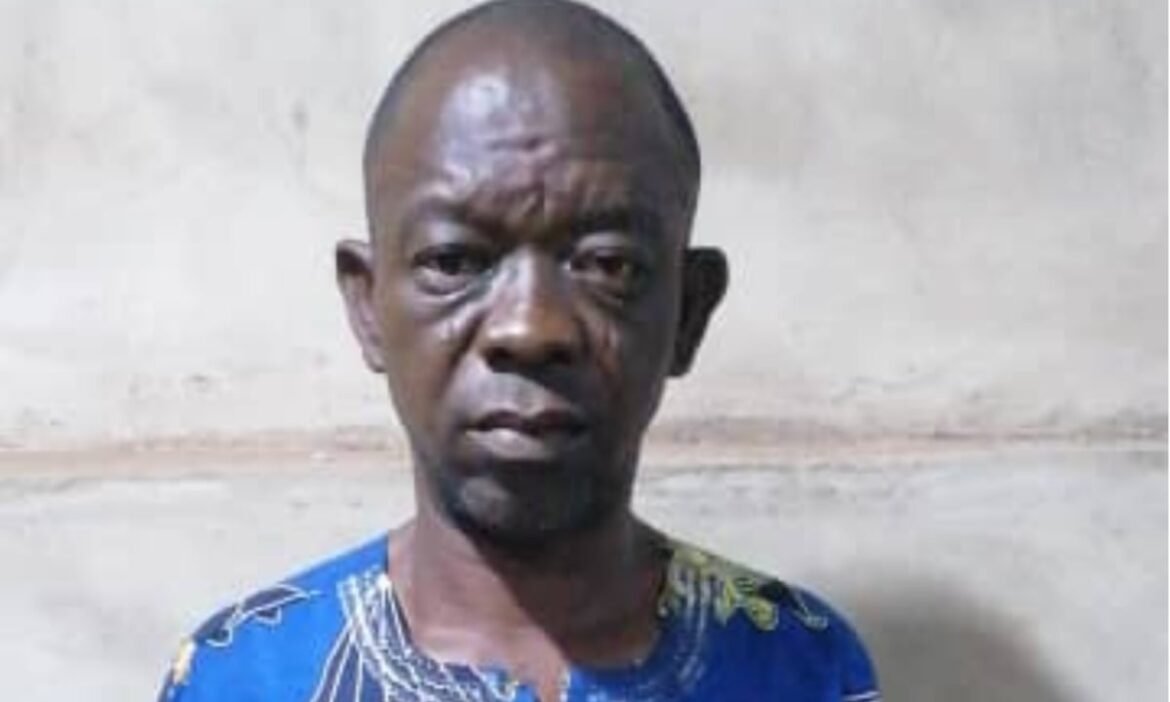 Ogun carpenter beats wife to death over property