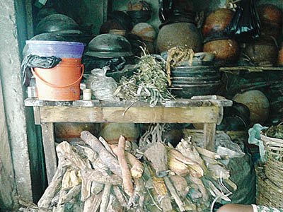 70% of Nigerians still patronise herbal medicines – NNMDA