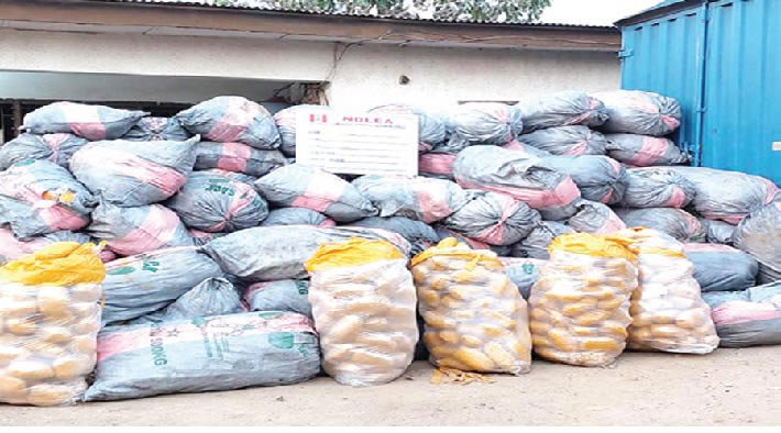 Investigation: N5bn illicit drugs uncovered in Lagos warehouse