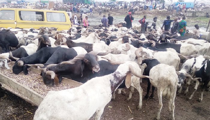 Don’t borrow for Sallah ram, Clerics tell Muslims