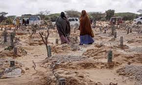 Kano businessman allegedly kills two workers, buries corpses in shallow grave