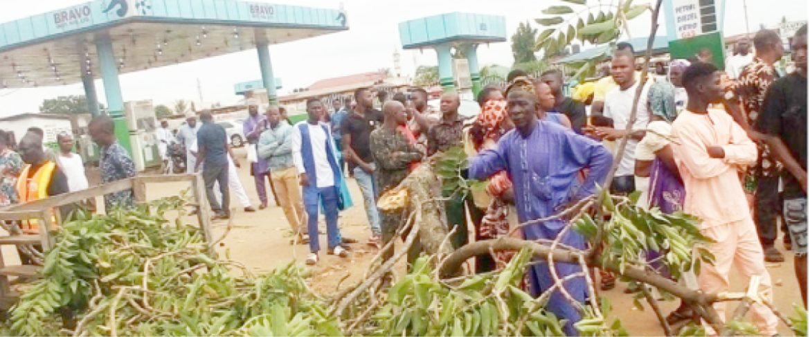 Fallen tree kills two, injures 10 in Kwara