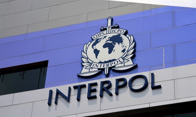 $6.2m fraud: Presidency asks INTERPOL to arrest three suspects