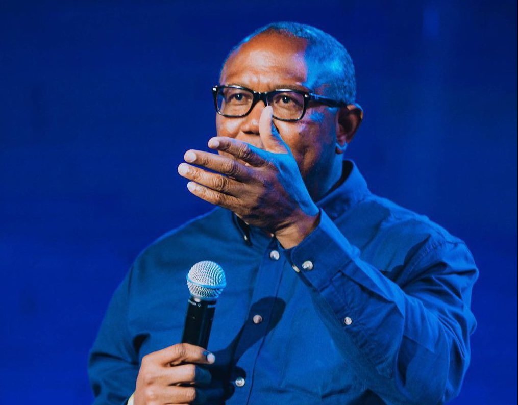 2027 Poll: I will consider PDP-LP merger – Peter Obi