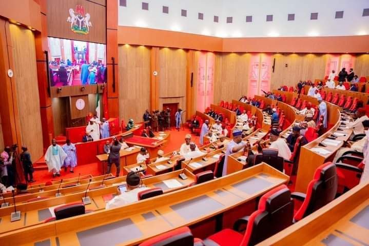 Recall Natasha immediately, Court orders Senate